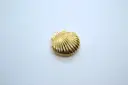 Shell locket charm-photo frame-Gold plated