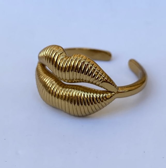 Stainless steel ring