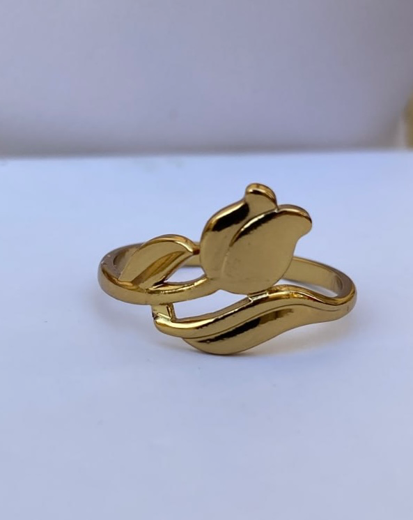 Stainless steel ring