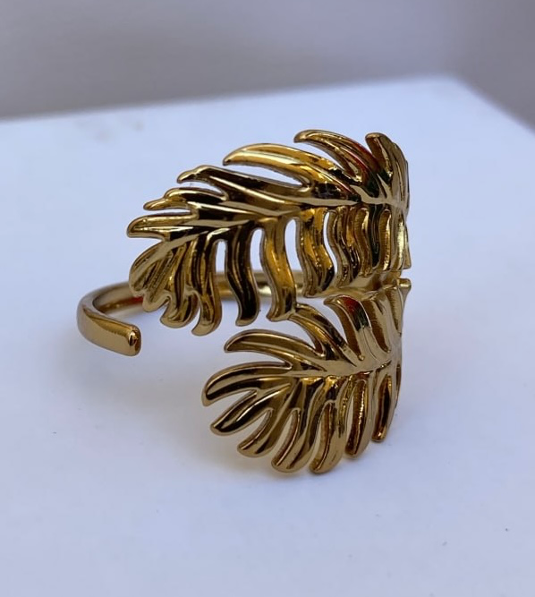 Stainless steel ring