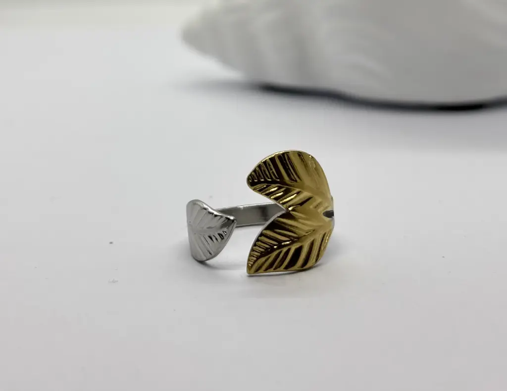 Gold-Silver stainless steel ring