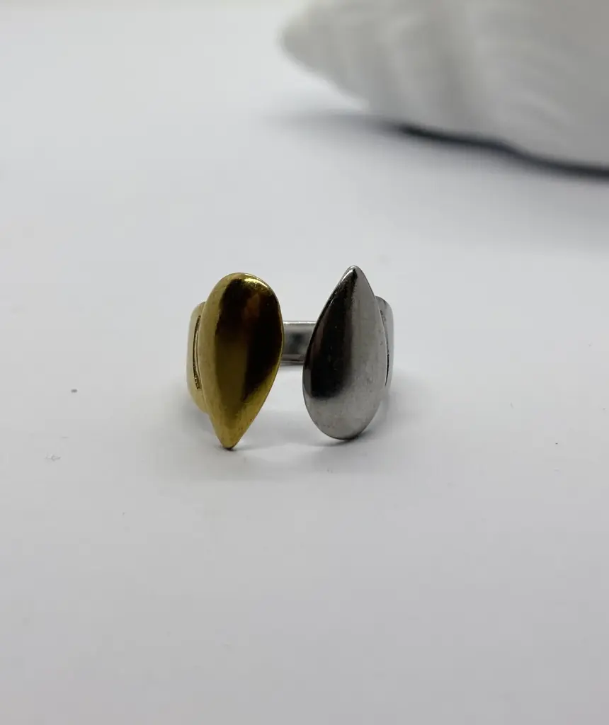 Gold-Silver stainless steel ring