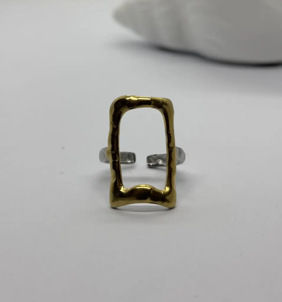 Gold-Silver stainless steel ring