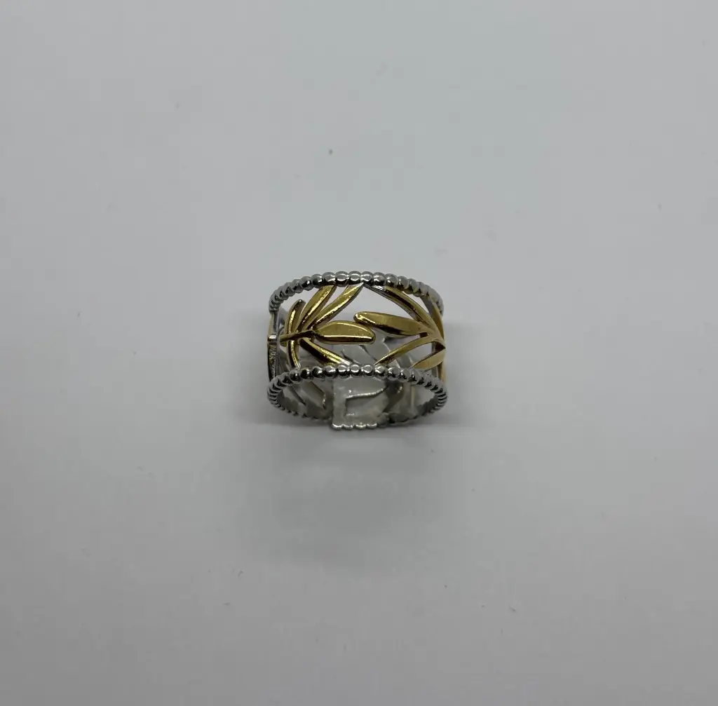 Gold-Silver stainless steel ring