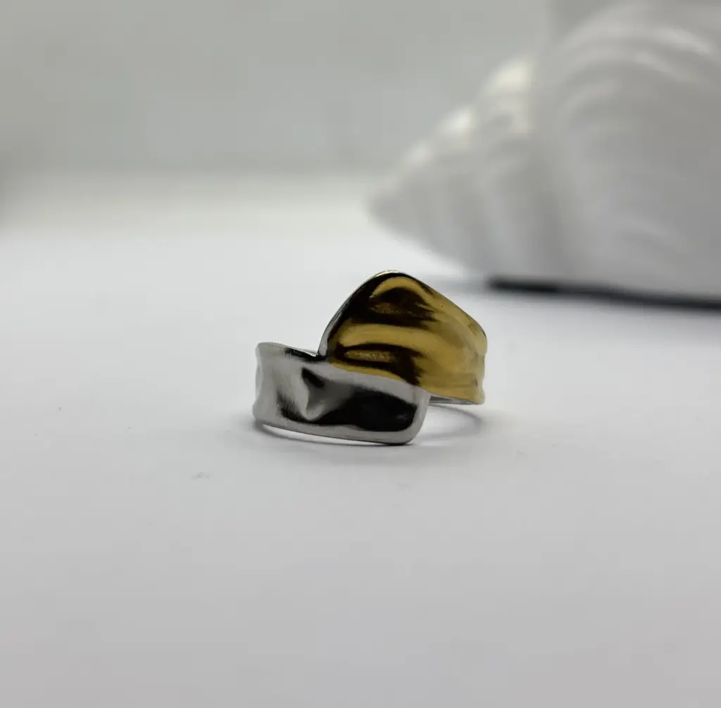 Gold-Silver stainless steel ring