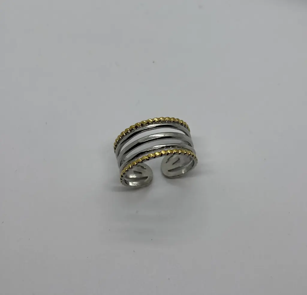 Gold-Silver stainless steel ring