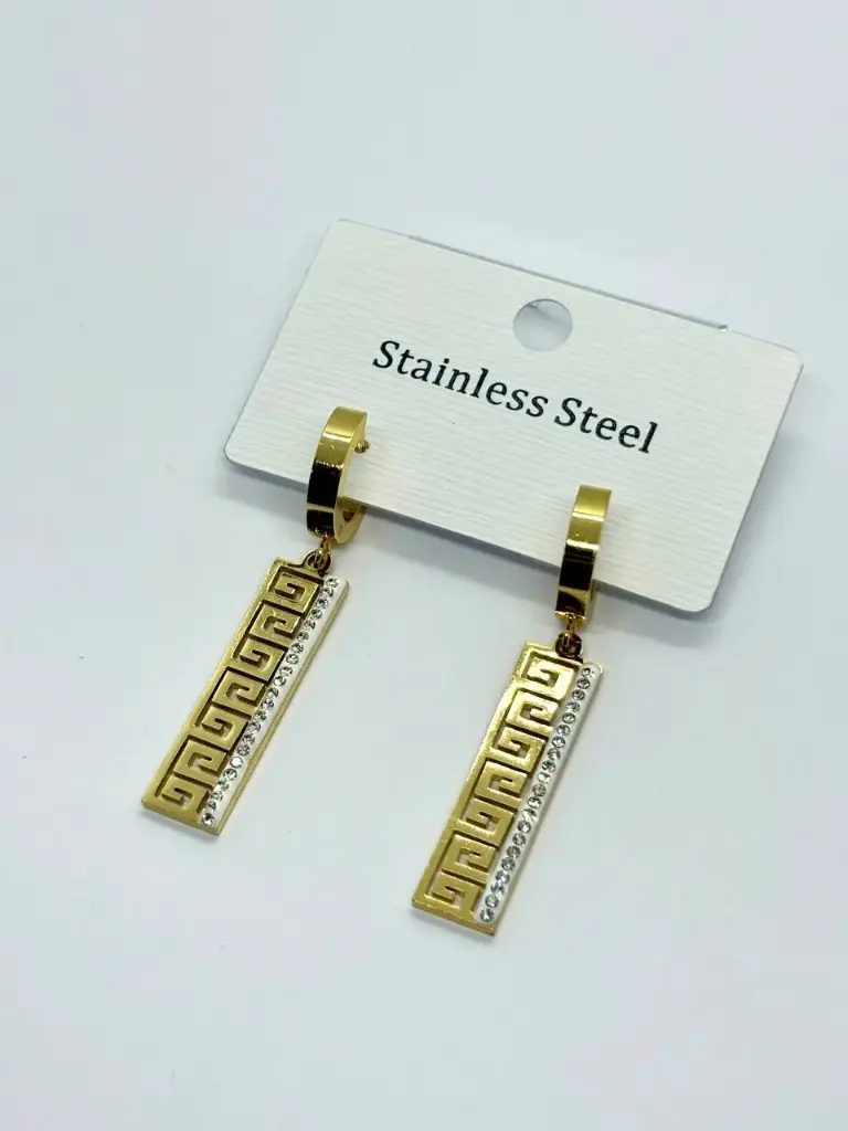 Stainless steel earring
