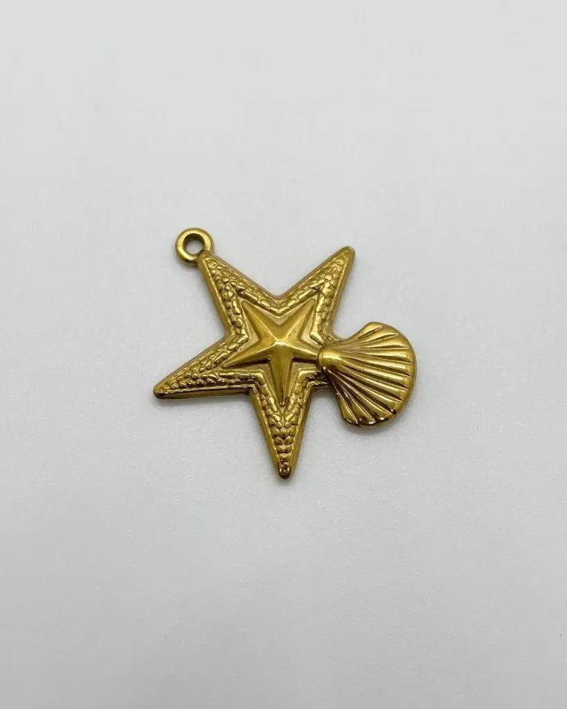 Star Fish -Stainless stell