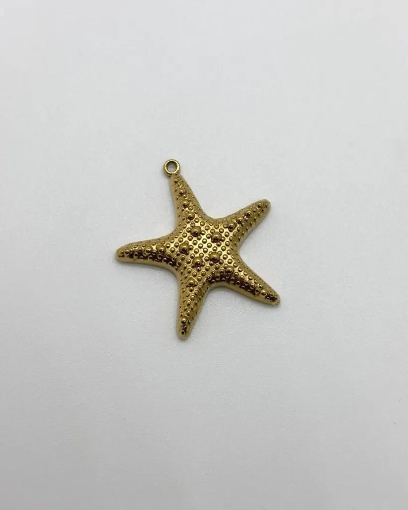 Star Fish -Stainless stell