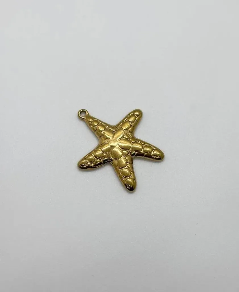 Star Fish -Stainless steel