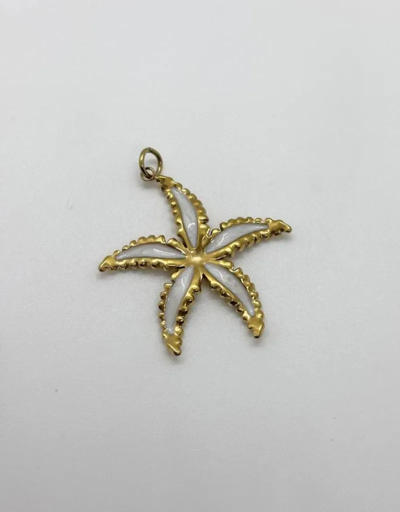 White Star fish-Stainless steel