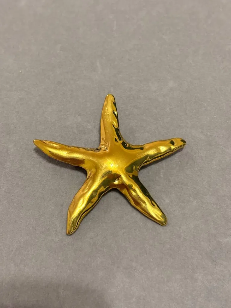 Star Brooch-Stainless steel