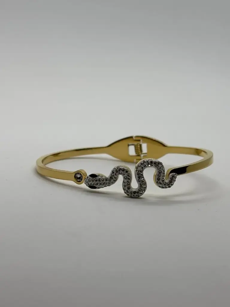 Snake Bracelet