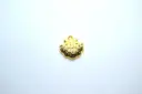 Big coloured shell-Gold plated