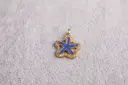 Coloured starfish -Gold plated