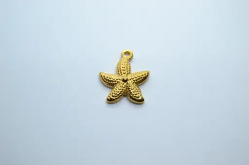 Gold Starfish-Stainless steel