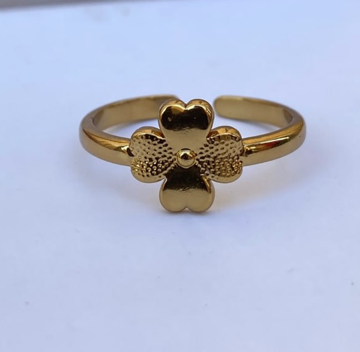 Stainless steel ring