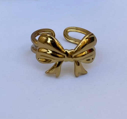 Stainless steel ring