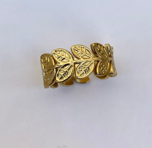 Stainless steel ring