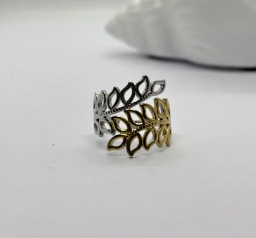 Gold-Silver stainless steel ring
