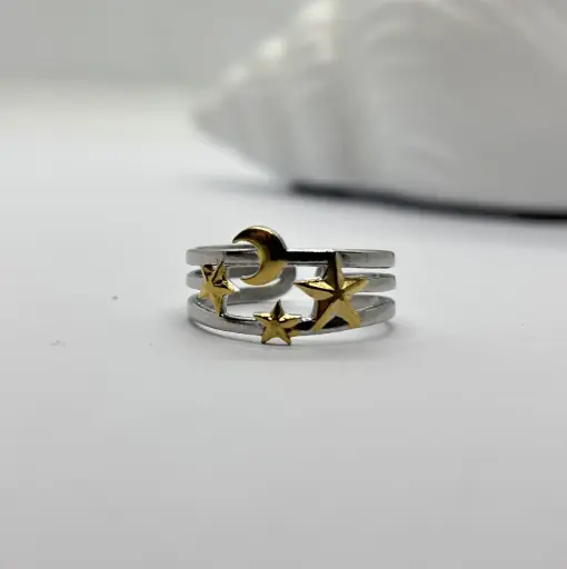 Gold-Silver stainless steel ring