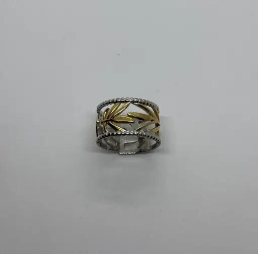 Gold-Silver stainless steel ring