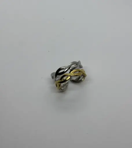 Gold-Silver stainless steel ring