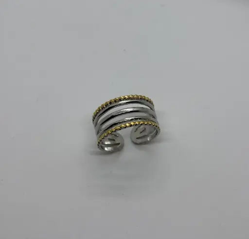 Gold-Silver stainless steel ring