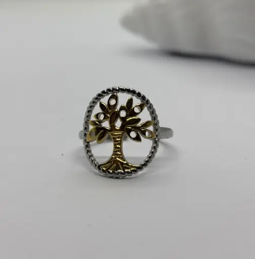 Gold-Silver stainless steel ring