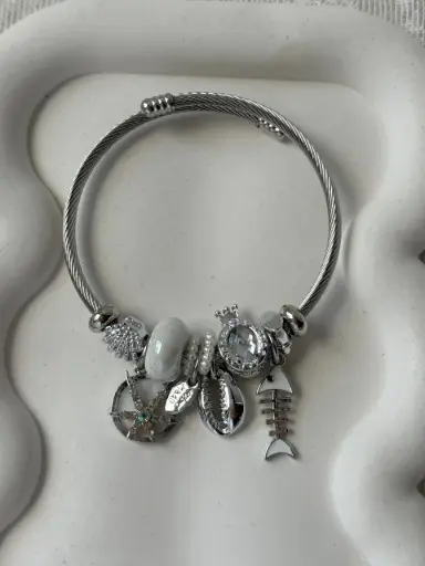 Pandora bracelet